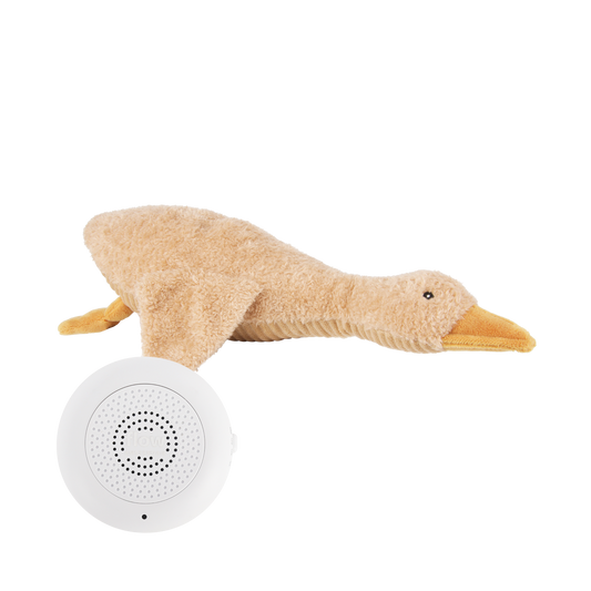 Liva (marron) - Doudou cardiaque rechargeable