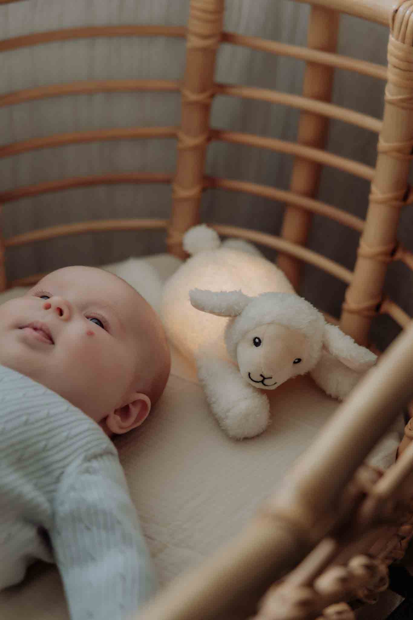 George (rose) - Veilleuse en peluche