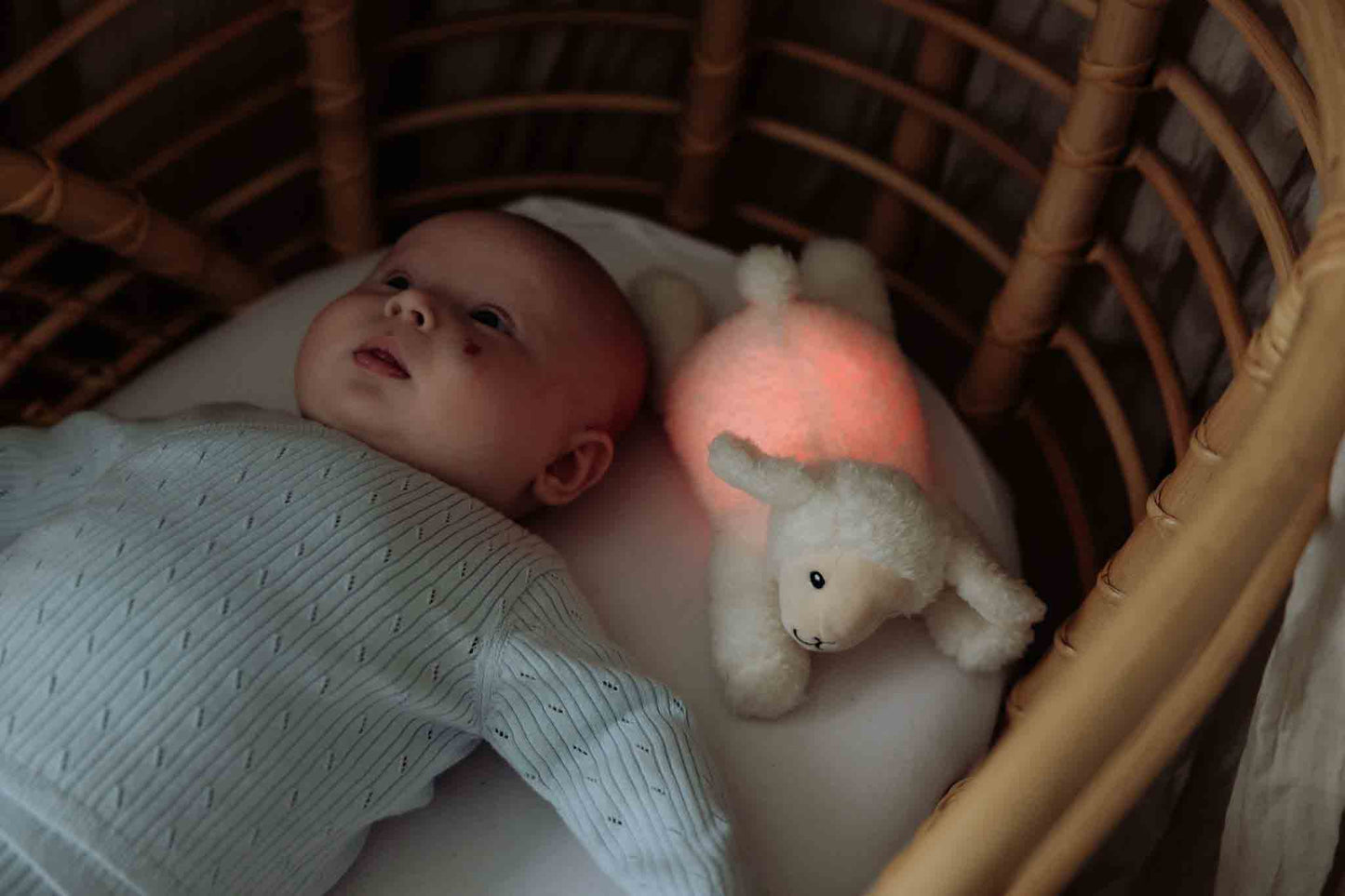 George (rose) - Veilleuse en peluche