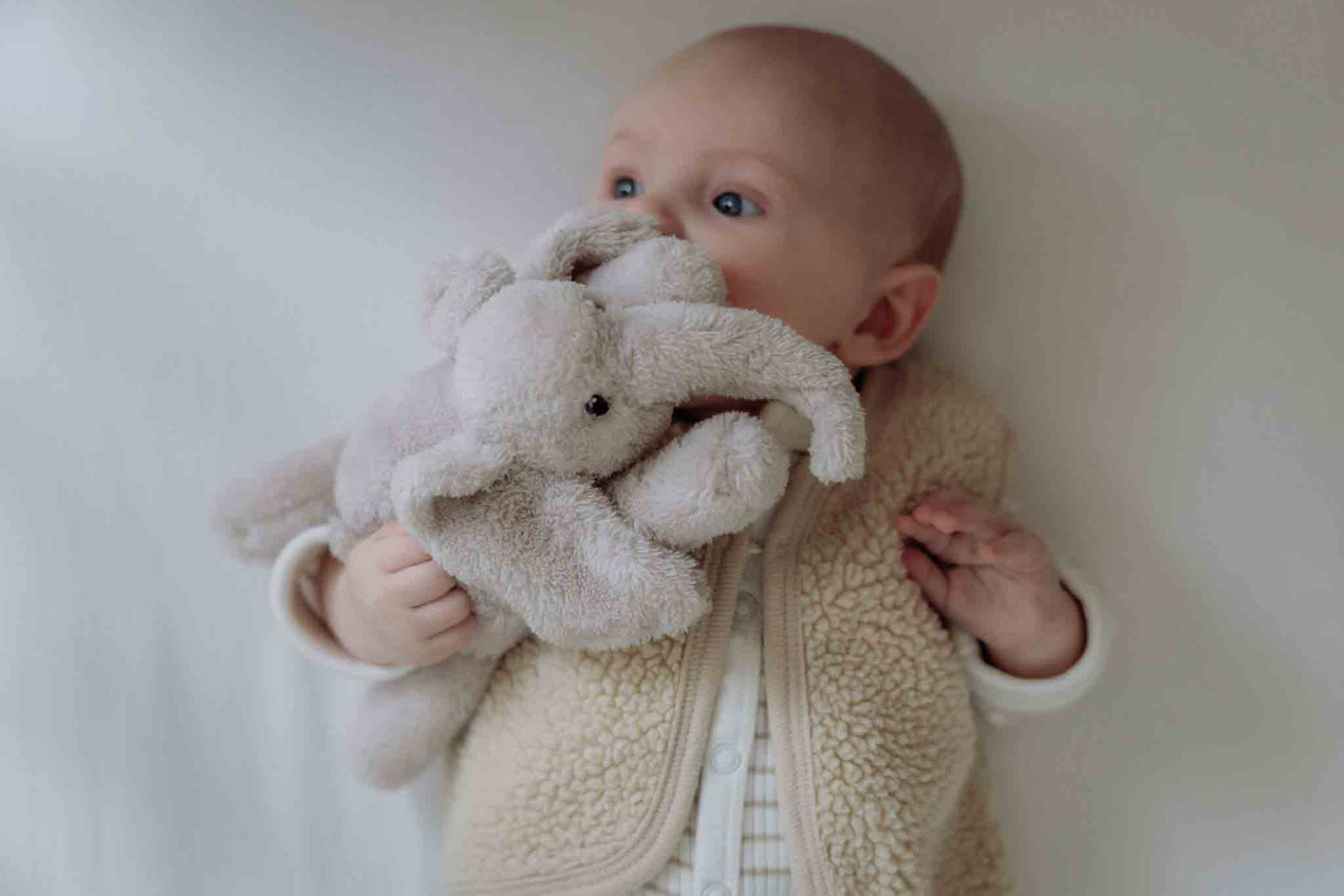 George (rose) - Veilleuse en peluche