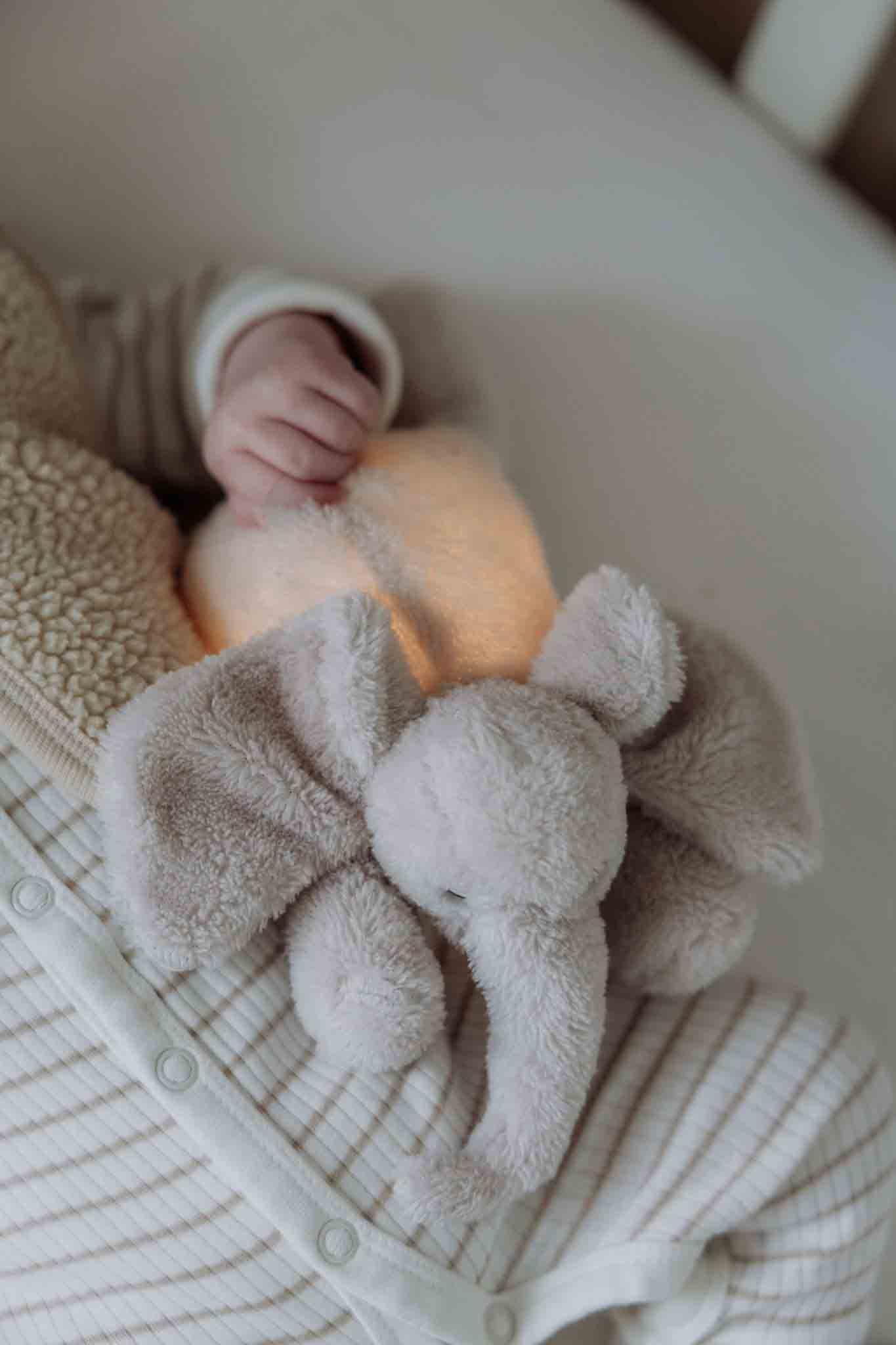 George (rose) - Veilleuse en peluche