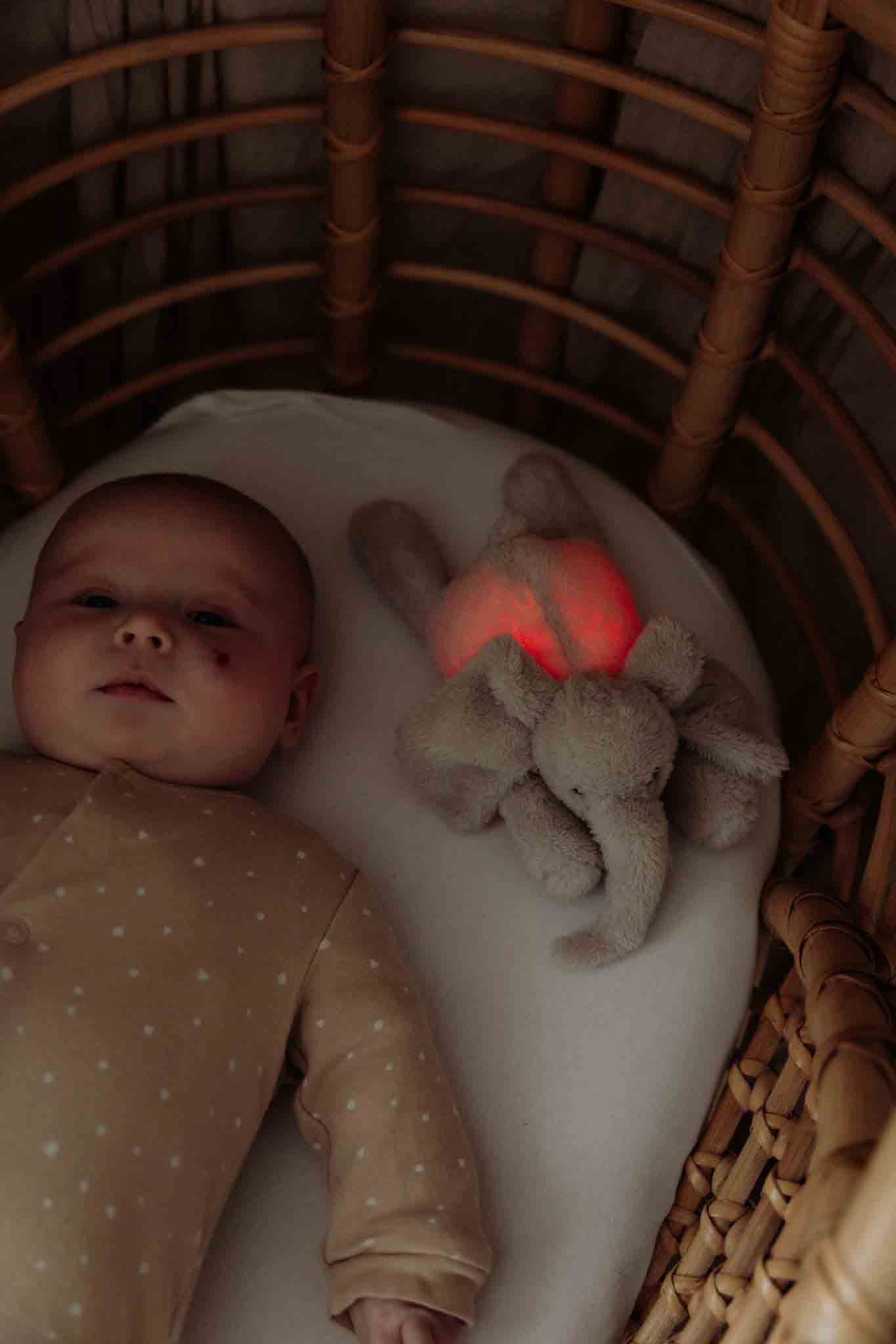 George (rose) - Veilleuse en peluche
