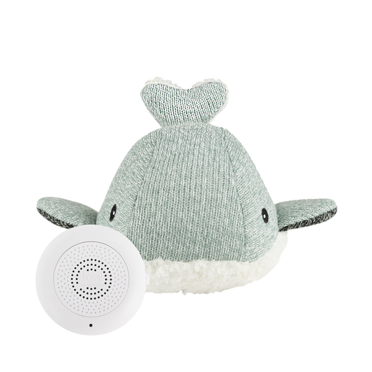 Moby (vert) - Doudou cardiaque rechargeable