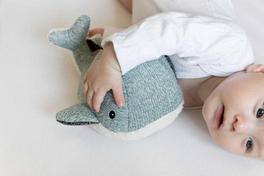 Moby (vert) - Doudou cardiaque rechargeable