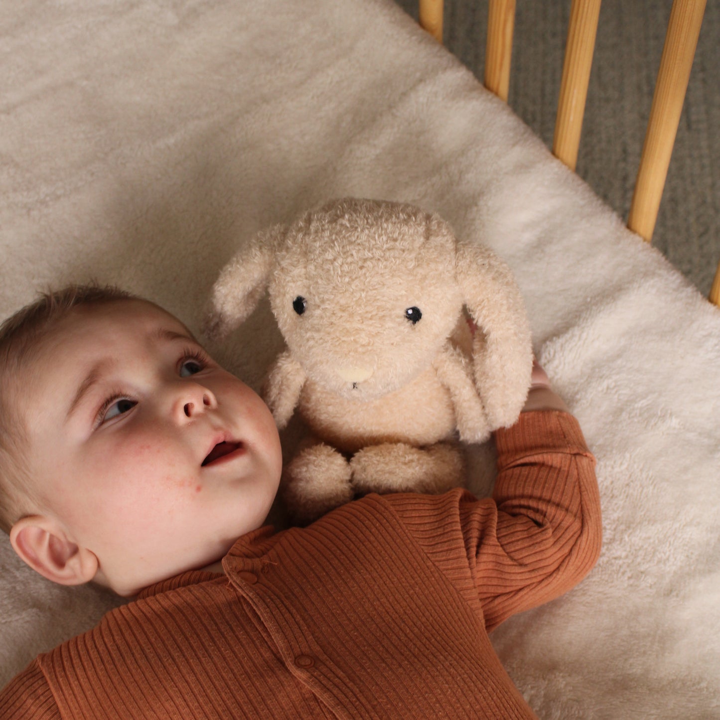 Milo (oat) - Veilleuse en peluche