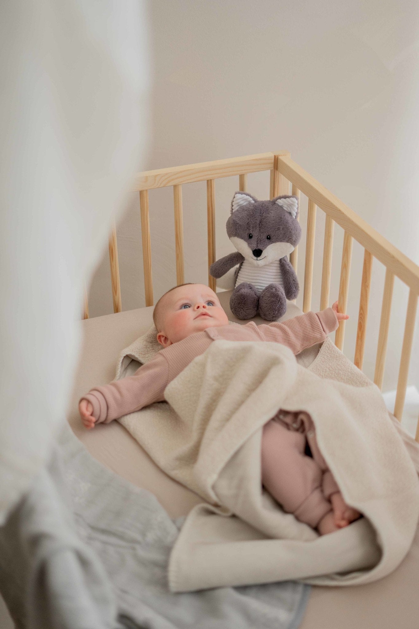 Robin (grey) - Heartbeat comforter
